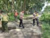 Polsek Karanganyar Pangkas Pohon Rawan Tumbang di Pinggir Jalan