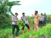 Dukung Ketahanan Pangan, Kapolres Ngawi Tinjau Lahan Edamame di Ngrambe