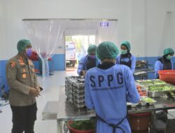 Polres Gresik Amankan 1 DPO Gangster Pelaku Pengeroyokan di Kecamatan Dukun